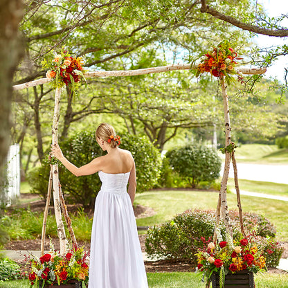 Arbor of Love Archway –  Honey Bee Blooms San Marcos, San Marcos CA