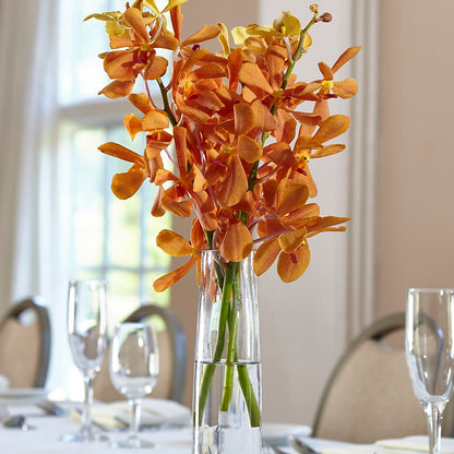 Orange Mokara Bud Vase –  Honey Bee Blooms San Marcos, San Marcos CA