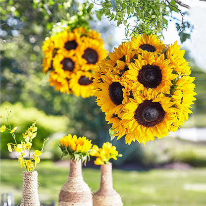 Sublime Garden Hanging Arrangement –  Honey Bee Blooms San Marcos, San Marcos CA