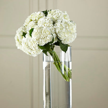 White Hydrangea Hand-Tied Bouquet –  Honey Bee Blooms San Marcos, San Marcos CA