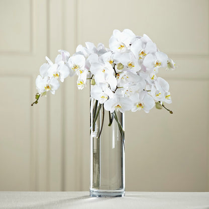 White Phalaenopsis Bouquet –  Honey Bee Blooms San Marcos, San Marcos CA