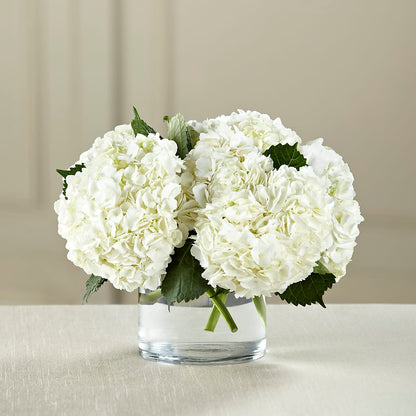White Hydrangea Bouquet –  Honey Bee Blooms San Marcos, San Marcos CA